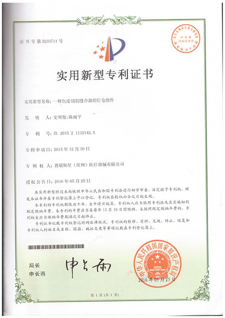 patent2